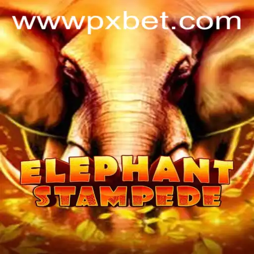 Discovering ElephantStampede: The Latest Sensation by PXBET Gaming